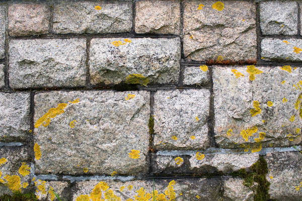 Old Stone Wall Stock photo © ArenaCreative