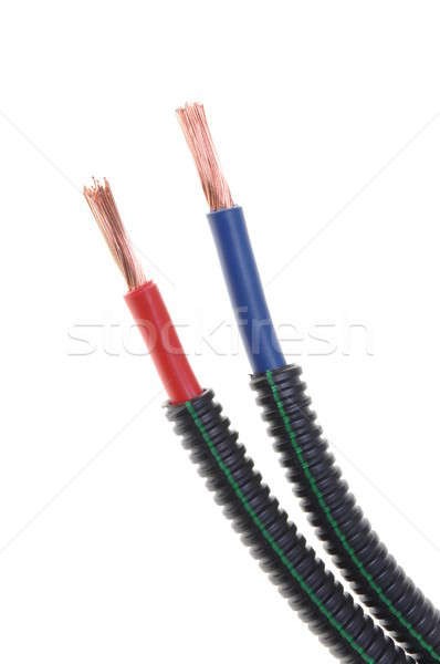 Flexible protective tube with red and blue cables Stock photo © Arezzoni