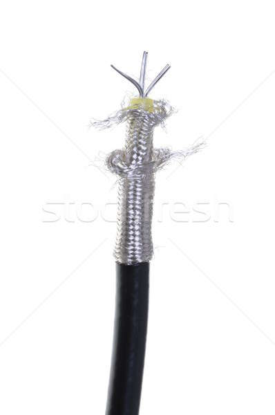 Coaxial cable Stock photo © Arezzoni