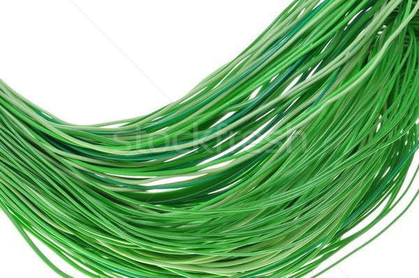 Green energy Stock photo © Arezzoni