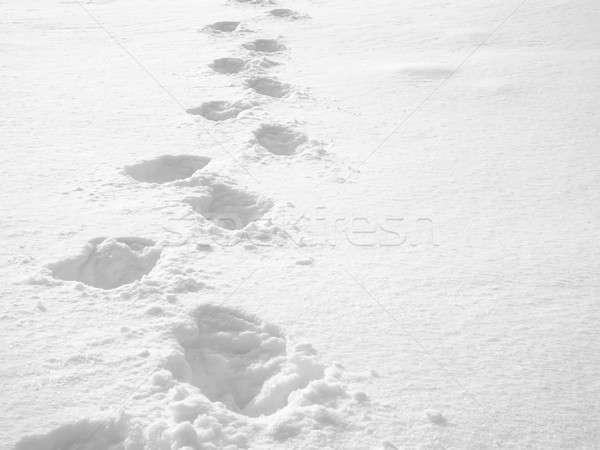 Neige blanche fraîches route fond montagne [[stock_photo]] © Ariusz