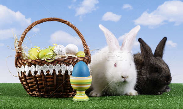 Pâques lapin œuf de Pâques ciel herbe fond [[stock_photo]] © Ariusz