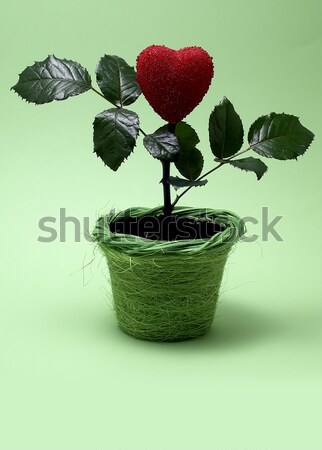 Rose pot fleurs coeur art bleu [[stock_photo]] © Ariusz