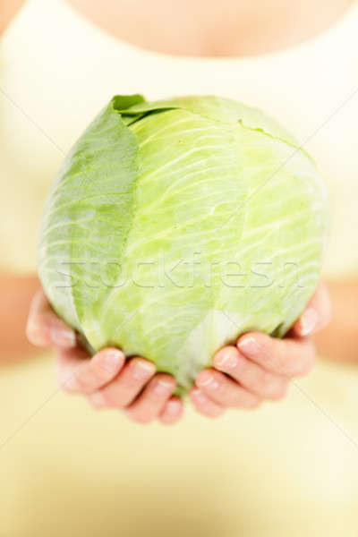 Cabbage - green cabbage closeup Stock photo © Ariwasabi
