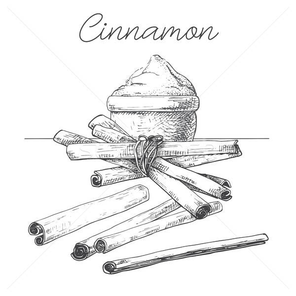 Cinnamon sticks, cinnamon powder. Hand drawn spice isolated on white background. Vector illustration Stock photo © Arkadivna
