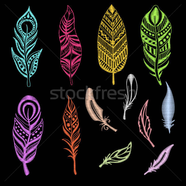 Set of embroidered feathers on a black background. Vector illustration of a sketch style. Stock photo © Arkadivna