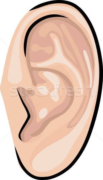 [[stock_photo]]: Humaine · oreille · isolé · blanche · corps · design