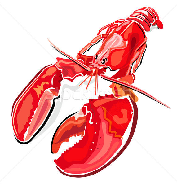 Lobster  Stock photo © arlatis