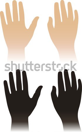 Mujer hombre manos aislado blanco mano Foto stock © arlatis