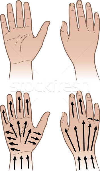 Mujer hombre manos aislado blanco palma Foto stock © arlatis