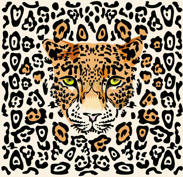 Leoparden Maulkorb Muster Tier Panther beobachten Stock foto © arlatis