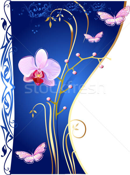 Orchids and butterflies  Stock photo © arlatis