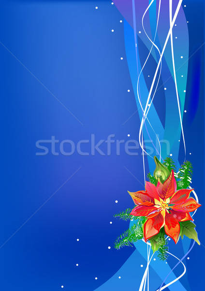 Christmas Poinsettia  Stock photo © arlatis