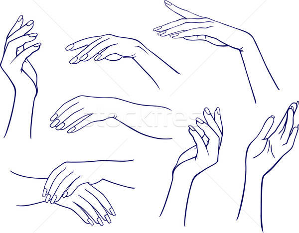 Mãos isolado branco mão palma azul Foto stock © arlatis