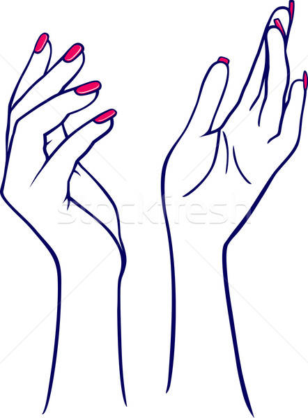 Stock foto: Hände · isoliert · weiß · Hand · Palmen · blau