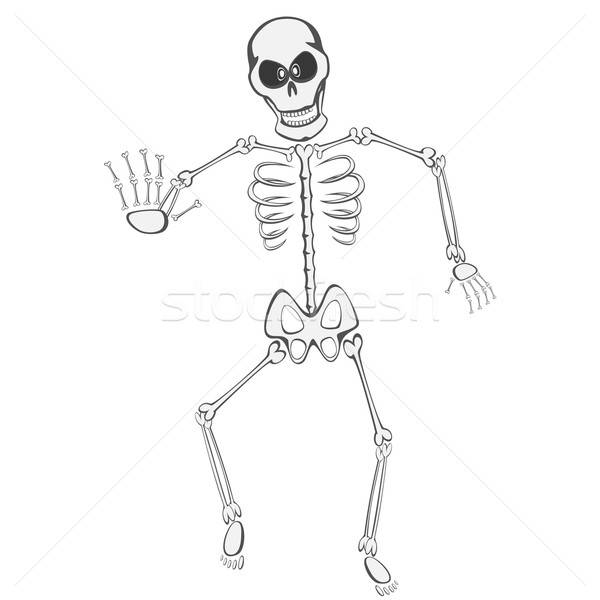 Skeleton Buddy Stock photo © arleevector