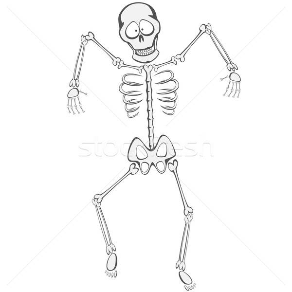 Skelett Kumpel funny Fuß wie Zombie Stock foto © arleevector