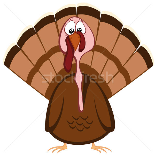 Stock photo: Funny turkeys