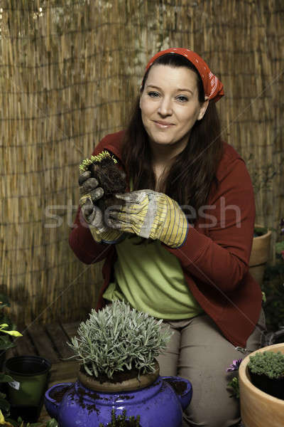 Woman gardening - repotting Stock photo © armin_burkhardt