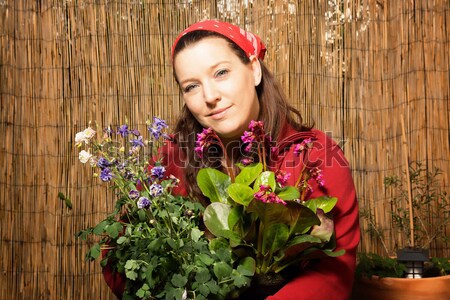 Woman holding flower pots Stock photo © armin_burkhardt
