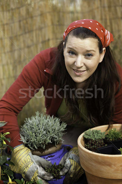 Unbenannt Stock photo © armin_burkhardt