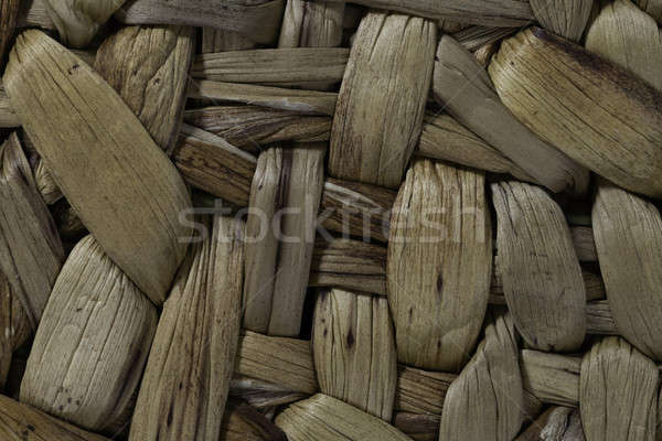 Background water hyacinth Stock photo © armin_burkhardt