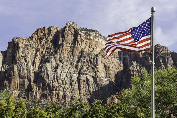 USA flag in front of mountains Stock photo © armin_burkhardt