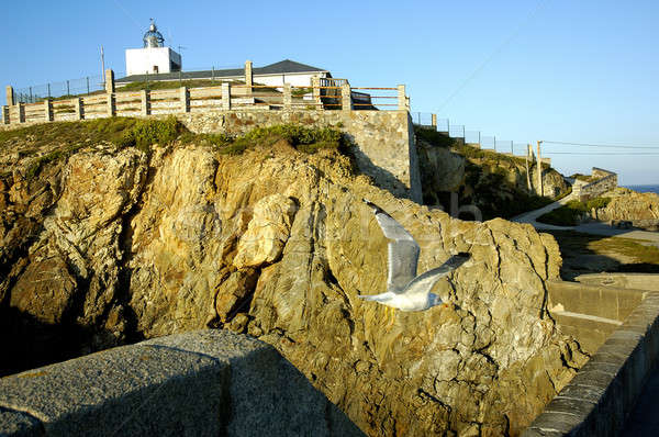 Farol luz mar rocha navio onda Foto stock © arocas