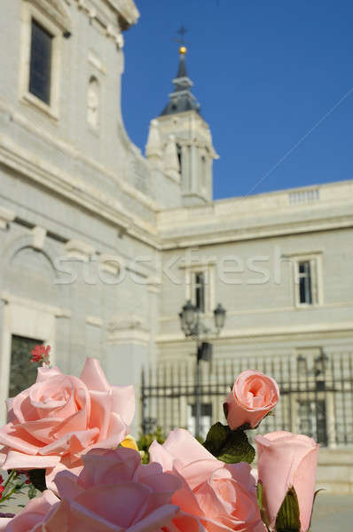 La real Madri Espanha flor Foto stock © arocas