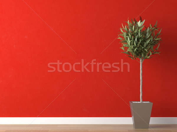 detail of plant on red wall Stock photo © arquiplay77