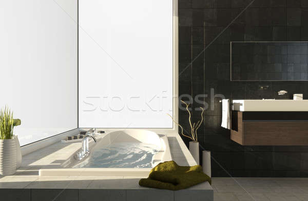 Fürdőkád modern nagy ablak izolált fitt Stock fotó © arquiplay77
