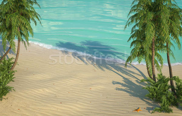 Geen beschrijving strand palm groene zand Stockfoto © arquiplay77