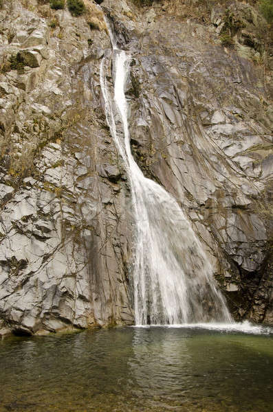 Acqua caduta montagna in giro albero foresta Foto d'archivio © Arrxxx