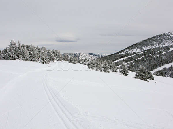 snow mountain Pyrenees Stock photo © Arrxxx