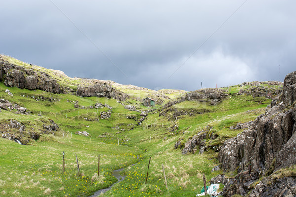 Panorama tipico erba verde pecore acqua Foto d'archivio © Arrxxx