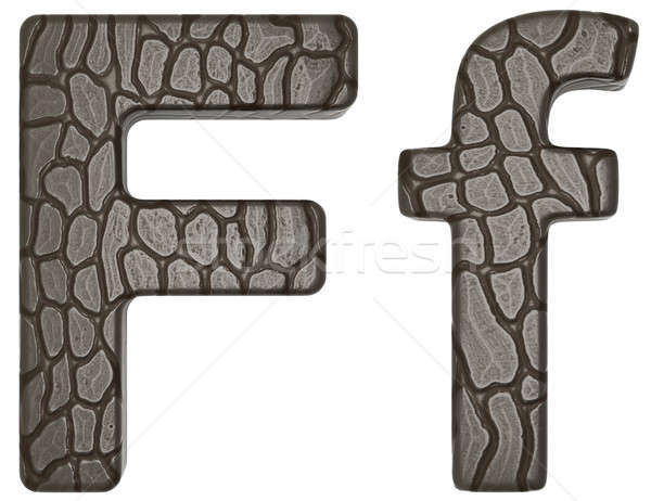 Alligator skin font F lowercase and capital letters Stock photo © Arsgera