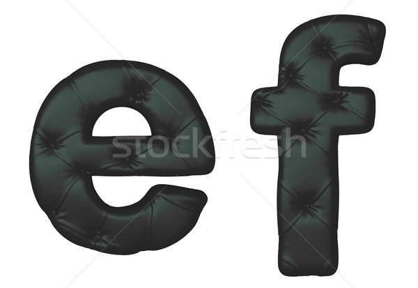 Luxury black leather font E F letters Stock photo © Arsgera