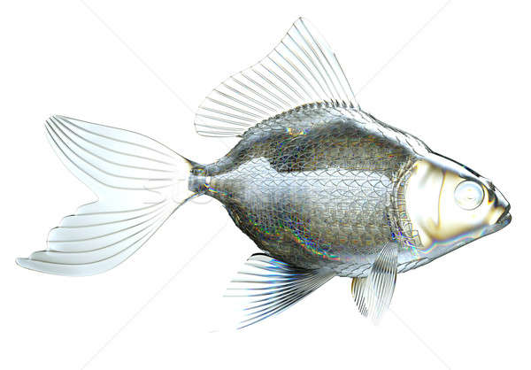 側面図 ガラス 魚 孤立した 白 自然 ストックフォト © Arsgera