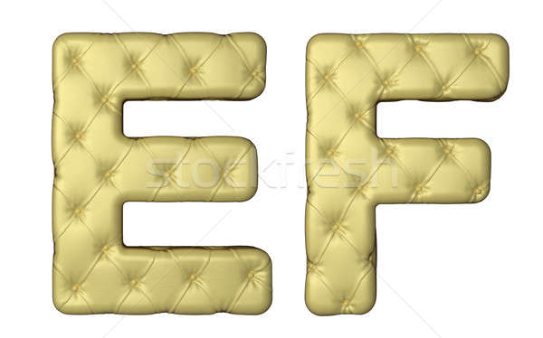 Luxury beige leather font E F letters Stock photo © Arsgera