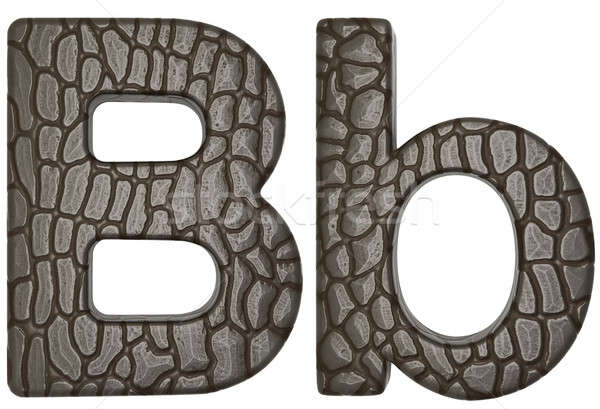 Alligator skin font B lowercase and capital letters Stock photo © Arsgera