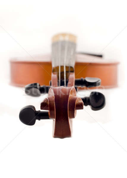 Bella violino top view bianco legno Foto d'archivio © Arsgera