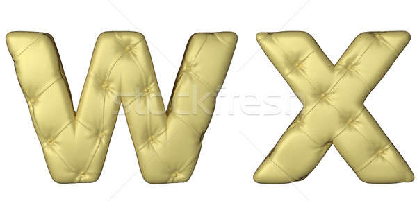 Luxury beige leather font W X letters  Stock photo © Arsgera