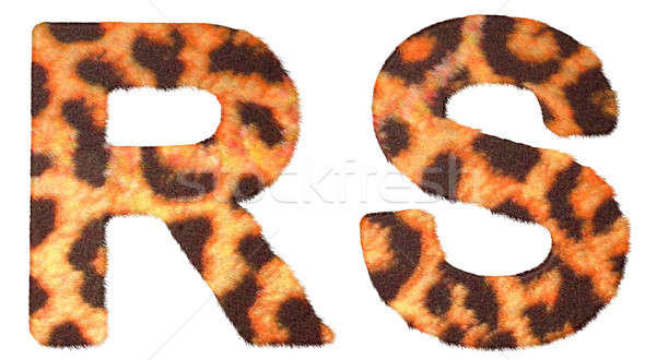 Leopard fur R and S letters isolated Stock photo © Arsgera