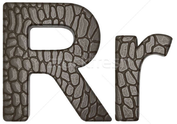 Alligator skin font R lowercase and capital letters Stock photo © Arsgera