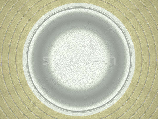 Beige and white stitched circle shape on leather Stock photo © Arsgera
