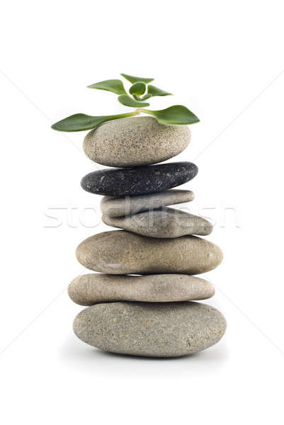 Foto stock: Verde · vida · equilibrado · torre · planta