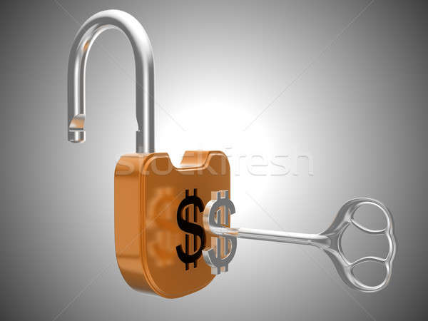 Zárat kinyit dollár valuta zár szürke kulcs Stock fotó © Arsgera