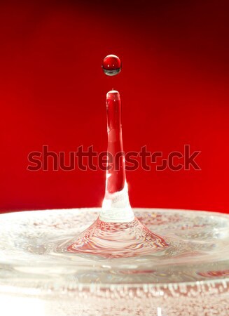 Zsákmány pillanat zuhan cseppek víz piros Stock fotó © Arsgera