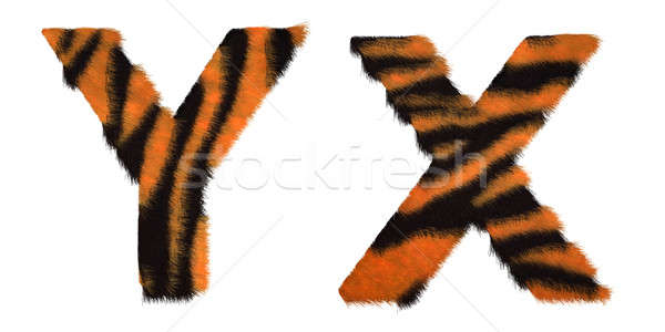 Tiger fell X and Y letters isolated Stock photo © Arsgera