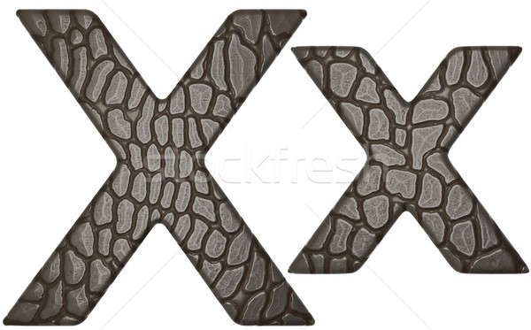 Alligator skin font X lowercase and capital letters Stock photo © Arsgera